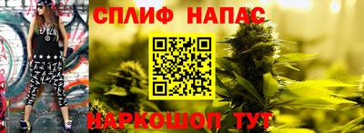 твердый Сланцы