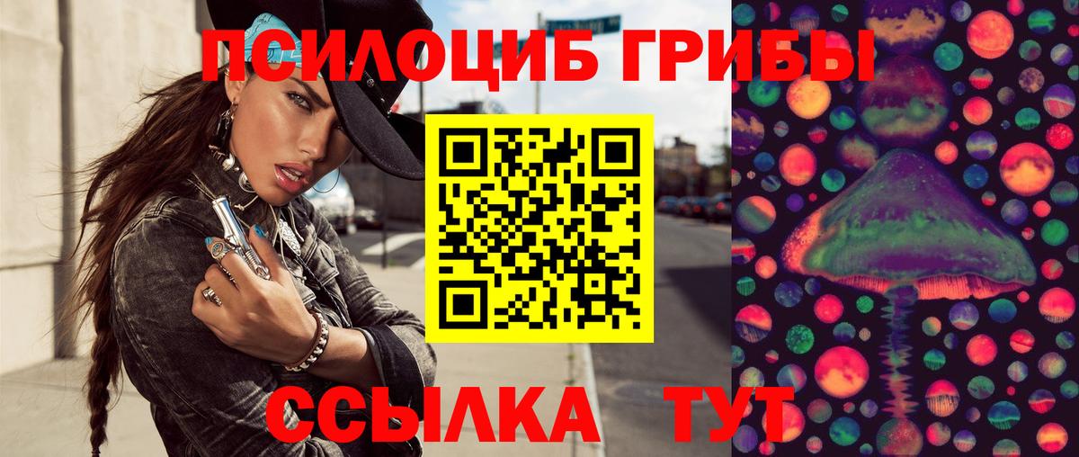 Псилоцибиновые грибы Psilocybine cubensis Нефтеюганск
